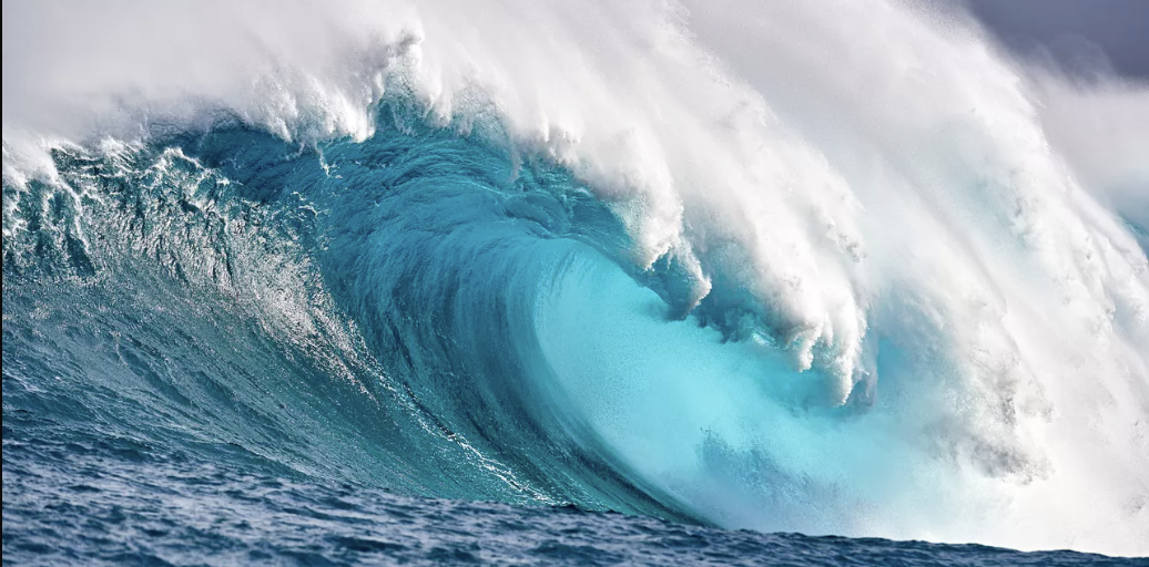 Join Dehub Wave's community on DeHub today